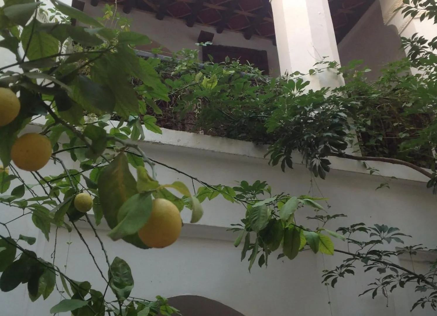 Riad Dar Lalla Fatna Marrakesh 0*,