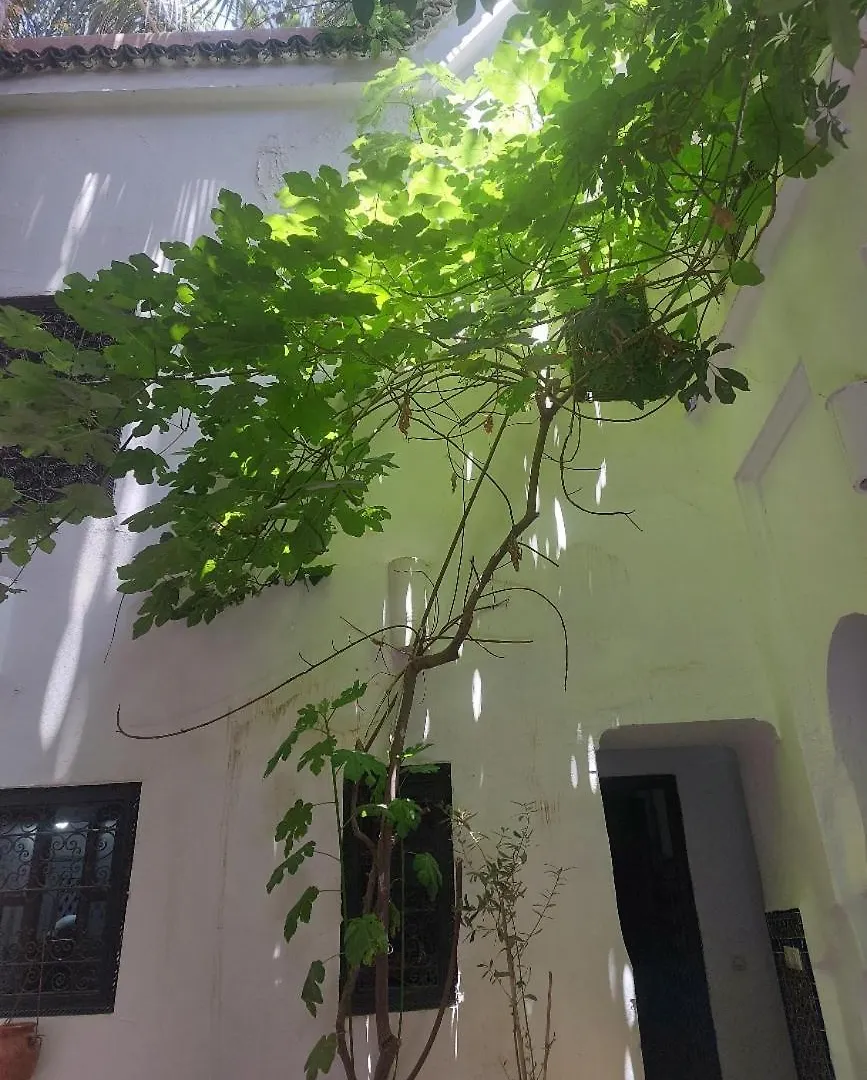 Riad Dar Lalla Fatna Marrakesh